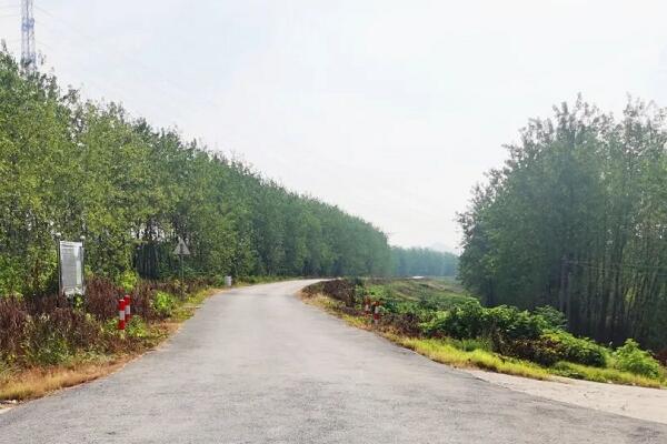 一種道路縱橫斷面測(cè)量的高效方法，效率提升5倍以上!